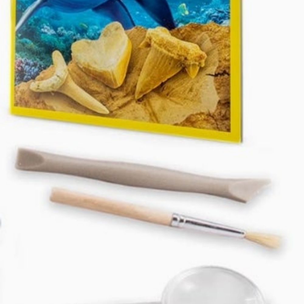 Shark Tooth Dig Kit - Picture 4 of 5